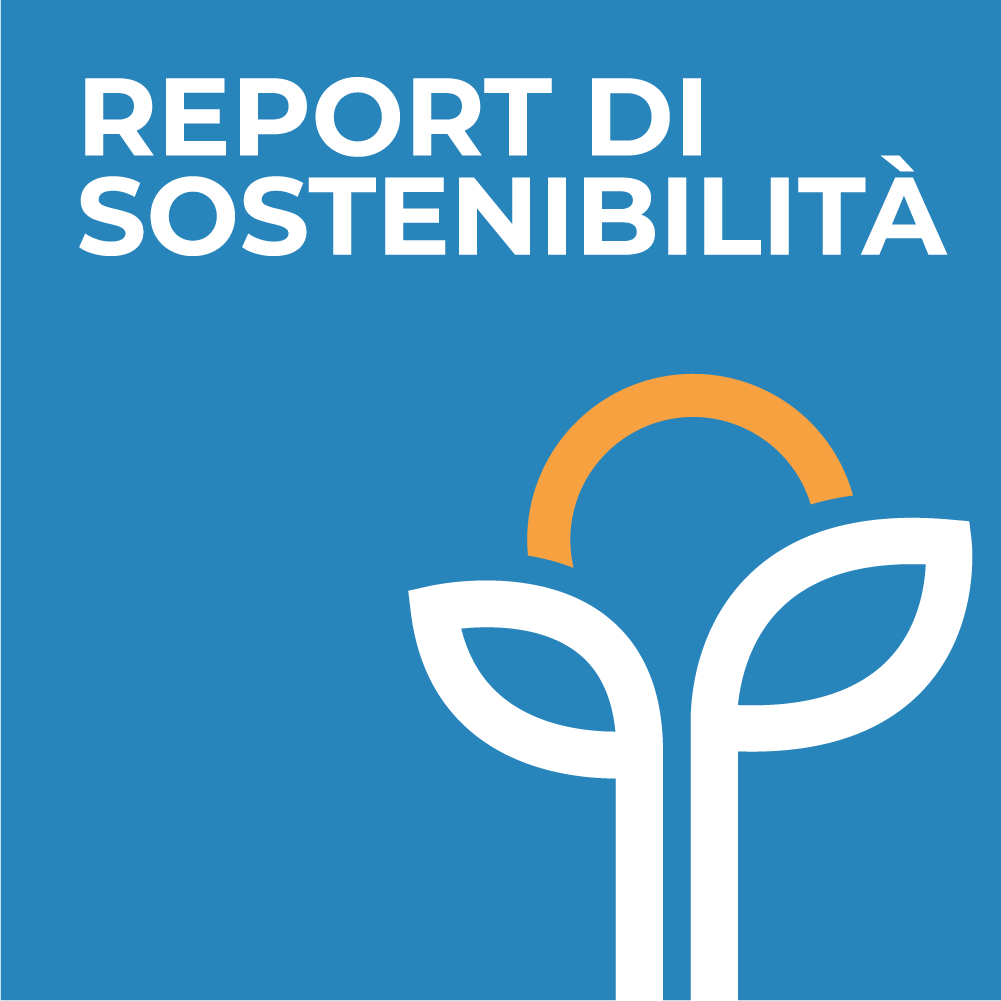 Report di sostenibilità - Digital Learning Srl